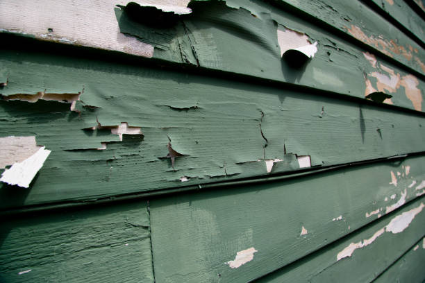 Best Property Management Cleanouts  in Sylvan Lake, MI